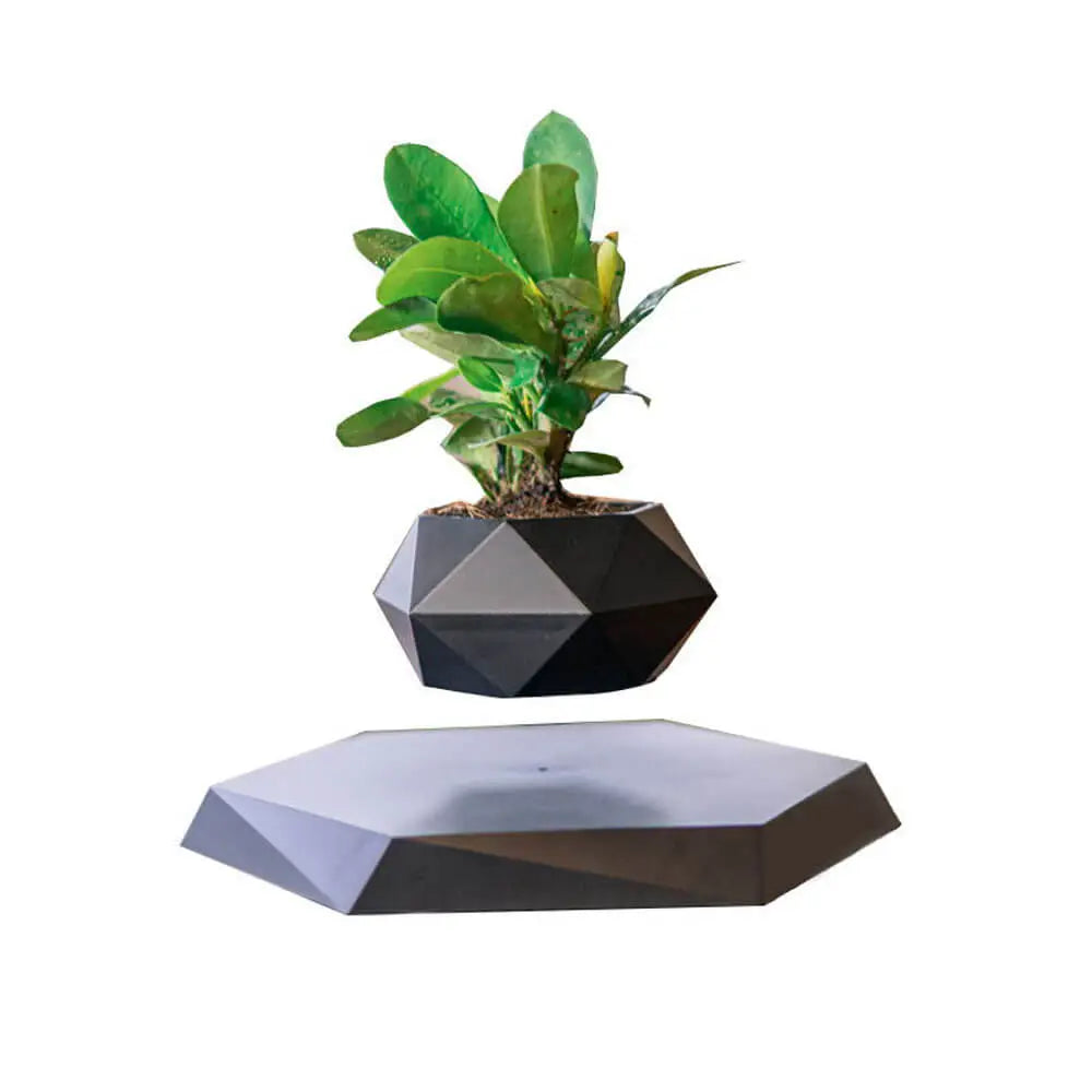 levitating plant pot